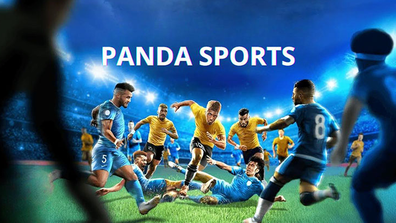 Các lý do nên tham gia cá cược tại sảnh Panda Sports