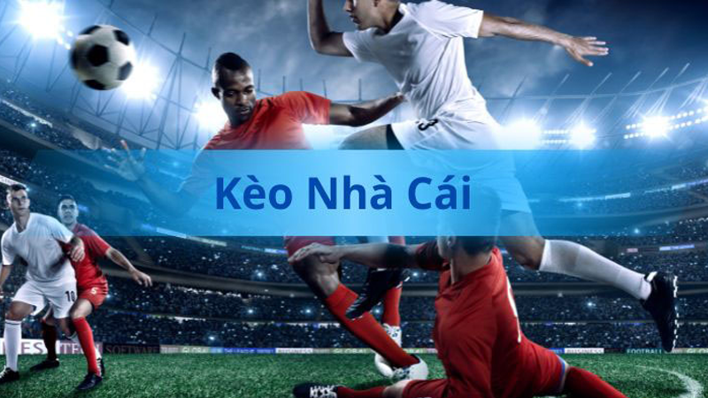 Cách chọn kèo nhà cái Xin88 hiệu quả