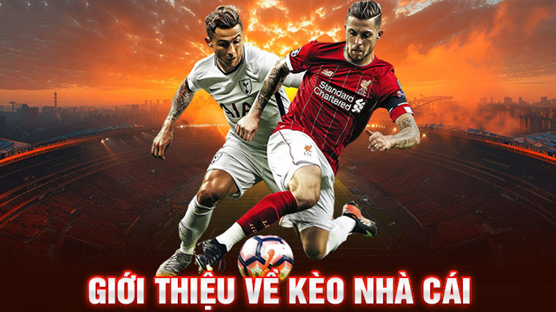 Lý do nên chọn kèo nhà cái Xin88