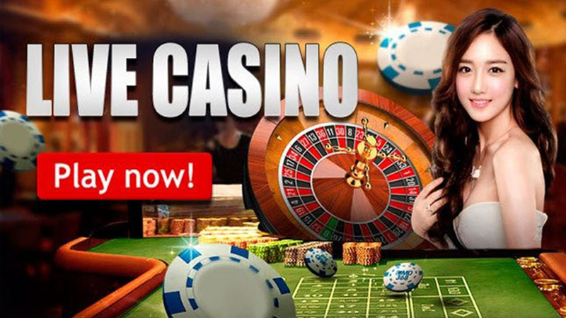 Tại sao nên chọn Xin88 Casino để cá cược?