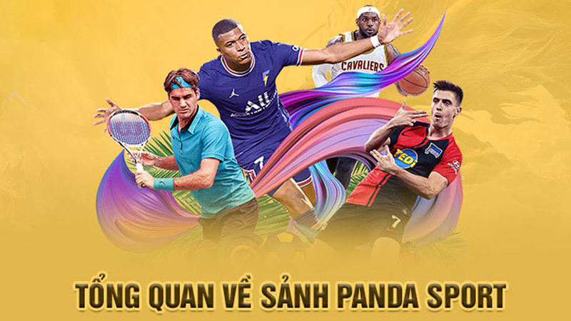 Tổng quan về sảnh Panda Sports